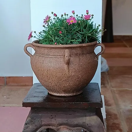 Casa Medina - Private With Terrace And Sea View, 25 Minutes From Malaga *