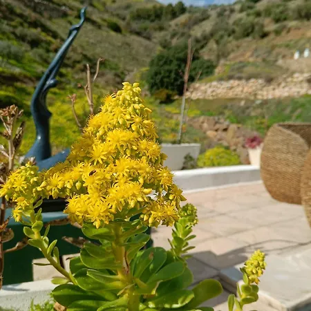 Holiday home Casa Medina - Private With Terrace And Sea View, 25 Minutes From Malaga